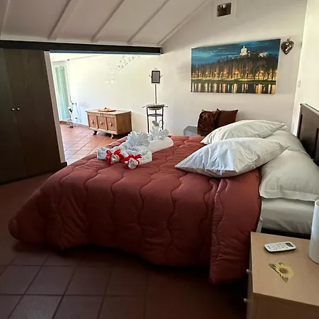 Historic Center Via Po * Torino