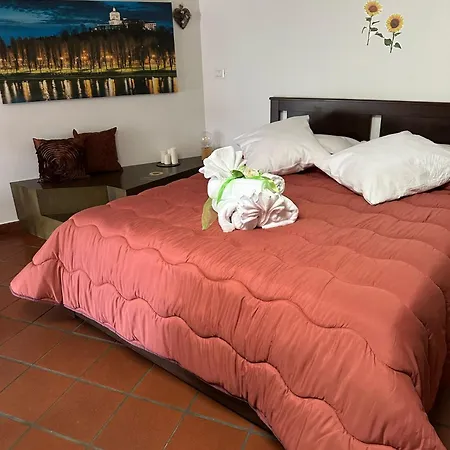 Historic Center Via Po