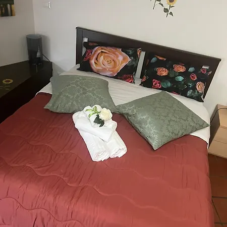 Historic Center Via Po Turin