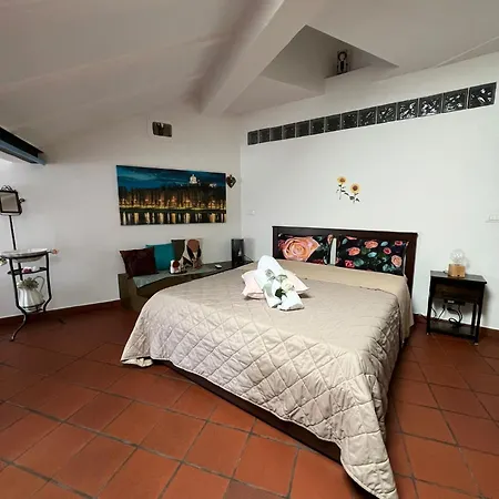 Historic Center Via Po