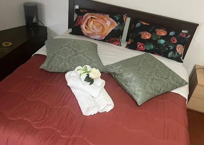 Historic Center Via Po Turin