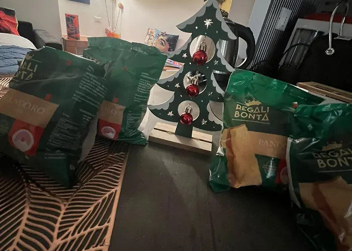 Historic Center Via Po * Torino