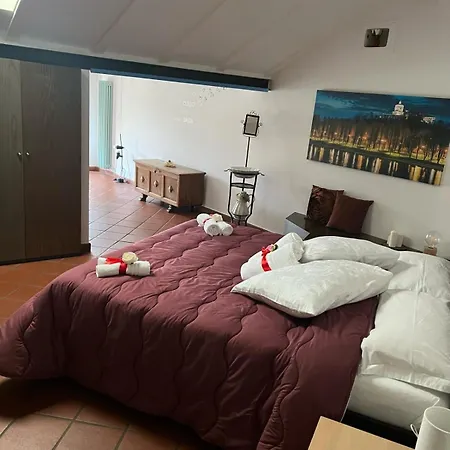 Historic Center Via Po Apartament Turyn