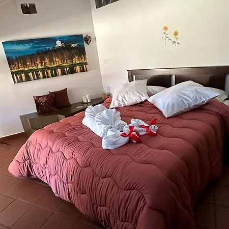 Historic Center Via Po * 토리노