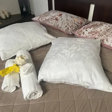 Historic Center Via Po Appartement Turijn