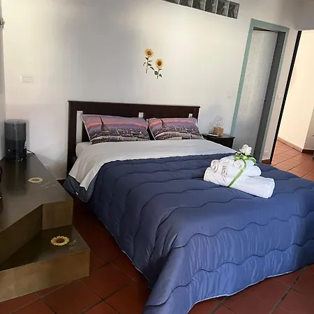 Historic Center Via Po Apartament Turyn