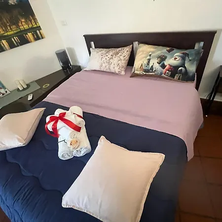 Apartment Historic Center Via Po